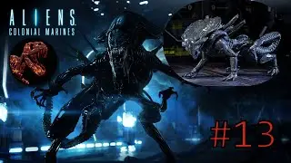 Aliens Colonial Marines - ◀ Добраться до площадки и помочь Рид взлететь ▶