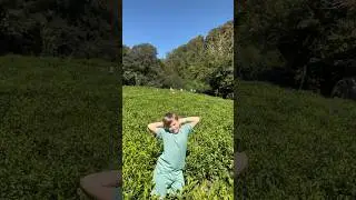 Восемь ши🥲😍