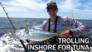 Trying to Catch Tuna Inshore