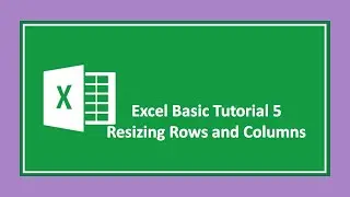 Excel Basic 5: How to resize rows and columns in excel