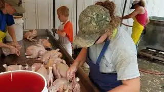 Processing pastured chickens