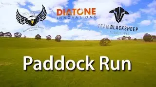 Paddock Run | Diatone | FPV Drone | TBS | BF 3.5