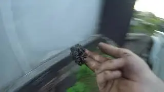 полуось