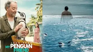 My Penguin Friend best Review 2024