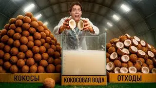 HOW MUCH SWEET WATER IS IN 1000 COCONUTS?