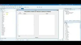 COMO OBTER O NOME DAS TABELAS E CAMPOS NO FIREDAC - DELPHI 10.3
