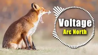 Arc North - Voltage | iCC