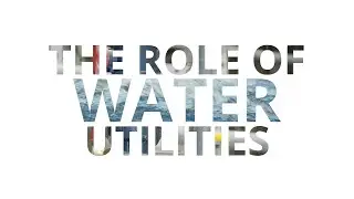 The Role of Water Utilities