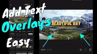 How To Add Title In CapCut (App) | IOS & Android