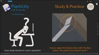 Plasticity : Match Face