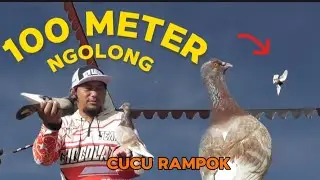 CUCU RAMPOK STABIL KOLONG LANGSUNG LOSDOR