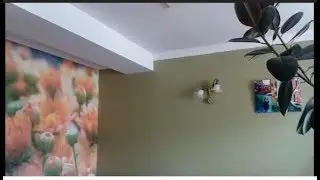 СБЫЛАСЬ МЕЧТА - ДЕЛАЕМ  РЕМОНТ !