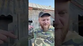 Ядовитая травка