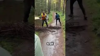 Rangers Kept Clearing This Trail… Until They Followed the Beaver 🦫