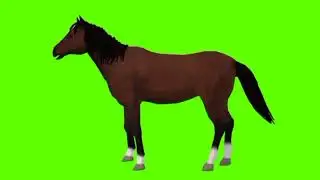 Green screen Horse video | Horse idle green screen