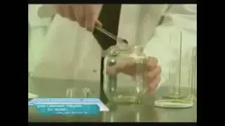 4 апреля 2020 г.