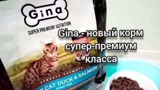 Обзор на корм для кошек супер-премиум  класса Gina. Состав хороший, но Пуша не в восторге