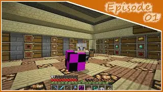 Qeth Plays Minecraft : World Tour #1 : My Previous Adventures