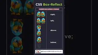 📦🔑how to Box-Reflect Effect In CSS | CSS Tips And Tricks | 