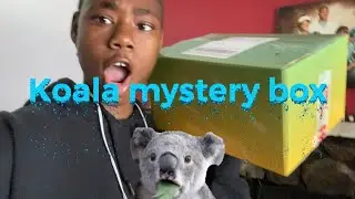 What’s in koala mystery box