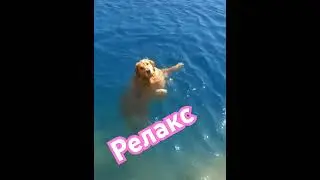 удивительный мирррр