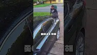 쫓아오는 개 때문에 차 위에 올라탄 사람