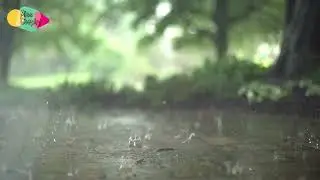 📖 Música para CONCENTRARSE 🎵