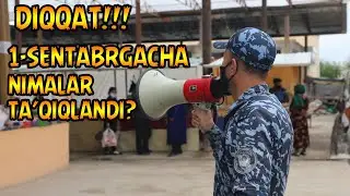 1-SENTABRGACHA NIMALAR TA'QIQLANDI? | 1 СЕНТЯБРГАЧА НИМАЛАР ТАЪҚИҚЛАНДИ?