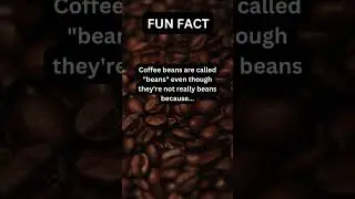 Fun fact #coffee #didyouknow #shorts