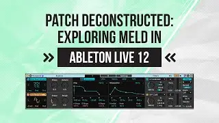 Ableton Live 12: Synth Patch Deconstructioned With MELD