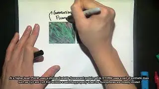 Minute Biophysics - Super-resolution microscopy w/ STORM & PALM - Zhanda