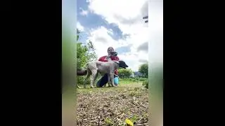 Когда нет учеников 2 месяца...Борьба🔥🔥🔥