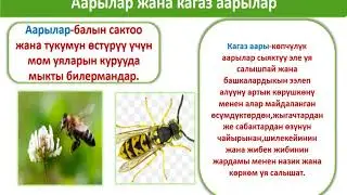 Технология 5-класс
