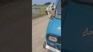 РАФ 2203 Нежданчик от рулевого