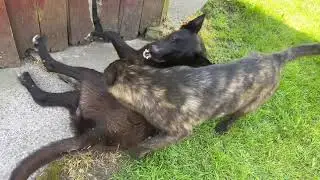 Что необычного?