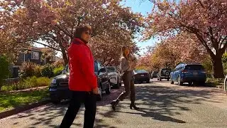 Ride 320 - One last ride as Vancouver's cherry blossom season winds down