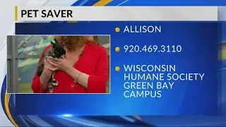 Just in time for Easter, help Allison hop her way into your family today!