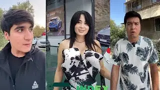 yangi vine