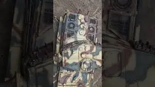 king tiger functions