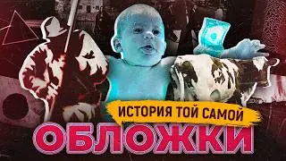 ЧТО В НИХ СКРЫТО? Корова-провокатор, будущее и математика 
