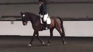 OUR WORST SCORE YET // DRESSAGE