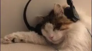 Плейлист рандомных ускоренных песен🤍speed up songs🤍