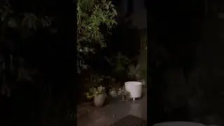 صوت المطر من مينة لوس انجلوس الامريكية
