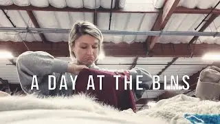 A Day At The Bins | Los Angeles Goodwill Outlet Haul