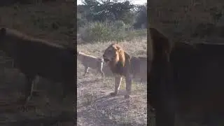 best video recently  