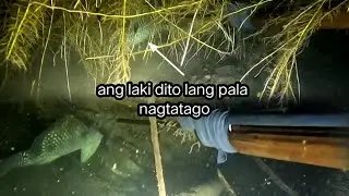Di basta² mahuhuli, Magaling magtago😲💪  #fishing #thankyouLord #fish #spearfishingph #subscribers