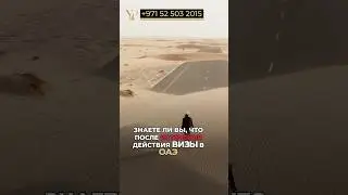 Истечение действия визы в ОАЭ 
