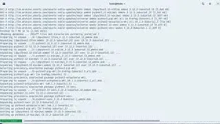 Setting up python on zorin os linux