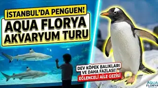 İSTANBUL'DA PENGUEN?! 🐧 | Aqua Florya Akvaryum Turu (VLOG)