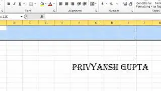 M.S.Excel-2010 Home menu part -1 hindi